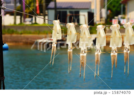 干しイカ 15874070