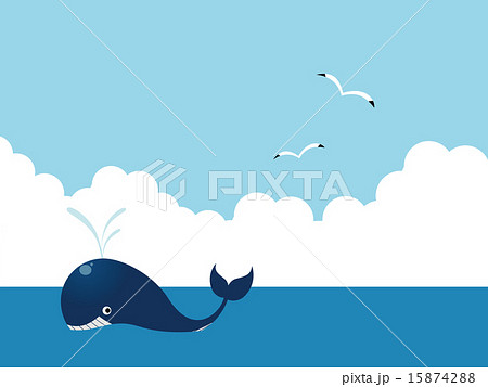 クジラ 15874288