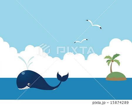 クジラ 15874289
