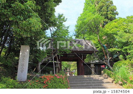 新緑の深大寺 山門 新緑の深大寺 山門 15874504