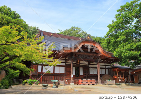 新緑の深大寺　本堂 15874506