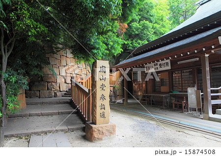 新緑の深大寺 参詣道 新緑の深大寺 参詣道 15874508