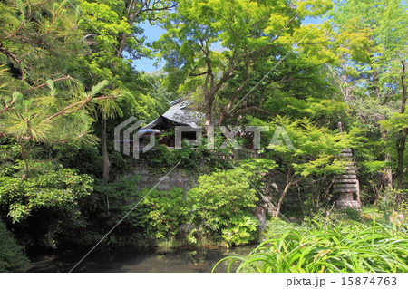 新緑の深大寺　元三大師堂 15874763
