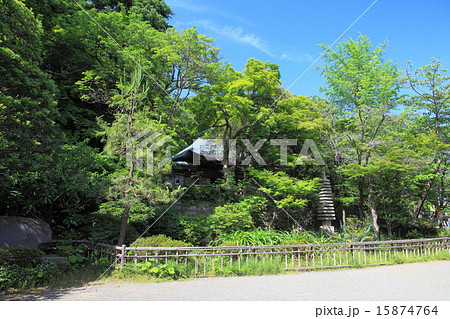 新緑の深大寺 元三大師堂 新緑の深大寺 元三大師堂 15874764