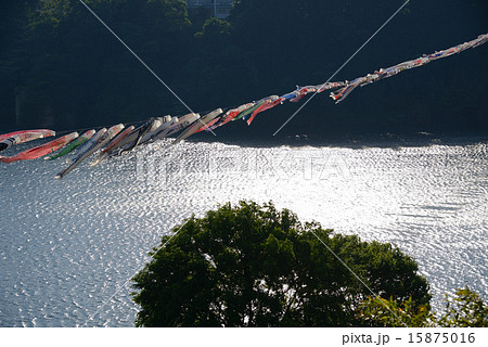 こいのぼり 15875016