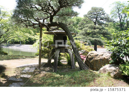 仙洞御所の庭園　雪見灯籠 15875371