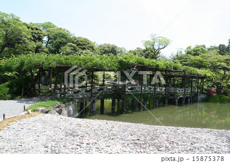 仙洞御所の庭園　八ツ橋 15875378