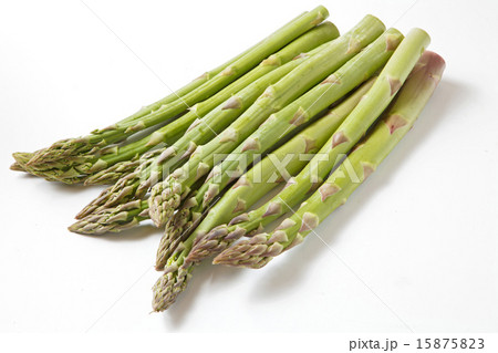国産アスパラガス 国産アスパラガス 15875823