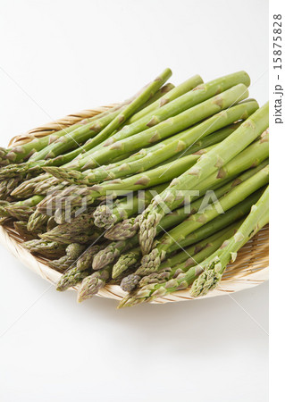 国産アスパラガス 15875828