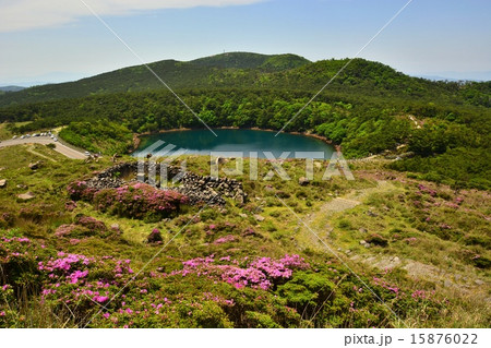 霧島連山えびの高原に咲くミヤマキリシマと不動池 15876022