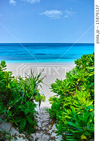 宮古島の浜辺への入り口 15876137