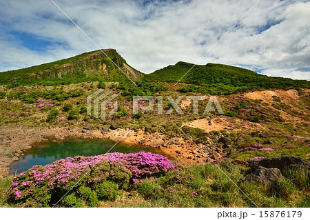霧島連山えびの高原に咲き誇るミヤマキリシマと韓国岳（からくに岳） 15876179