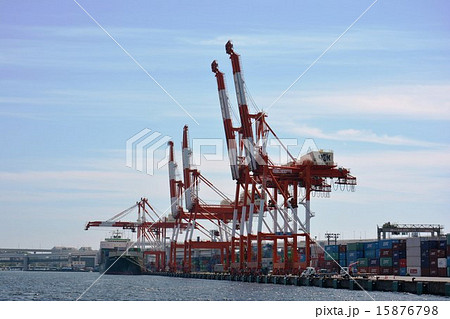 本牧埠頭のガントリークレーン群 15876798