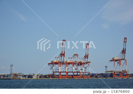 本牧埠頭のガントリークレーン群 15876800