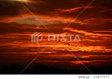 朝日に染まる雲・ヨーロッパの朝焼け 15877577