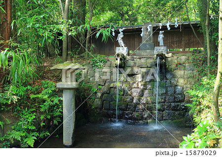 新緑の深大寺　滝 15879029