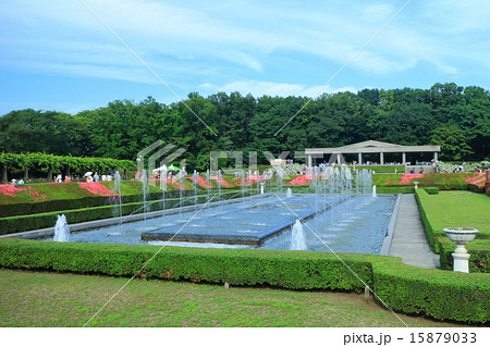 神代植物公園春のバラフェスタ 15879033