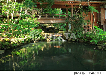 新緑の深大寺 五大尊池 の写真素材 [15879115] - PIXTA