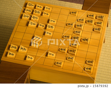 将棋・居飛車穴熊ｖｓ振飛車穴熊 15879392