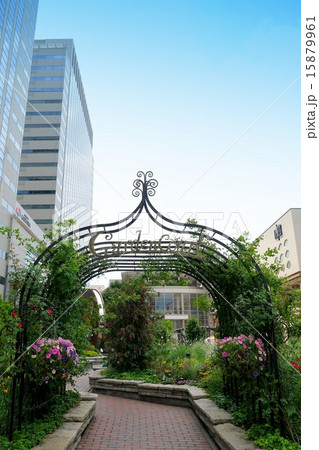 深川ギャザリア ガーデンコート(5月) 深川ギャザリア ガーデンコート(5月) 15879961