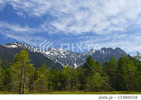 田代湿原から望む穂高連峰 15880038