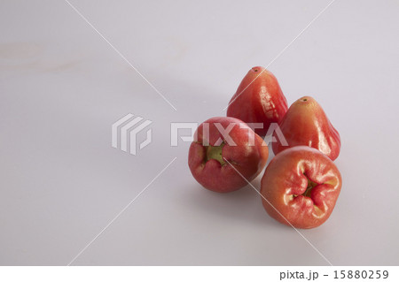 レンブ 台湾 材料 15880259