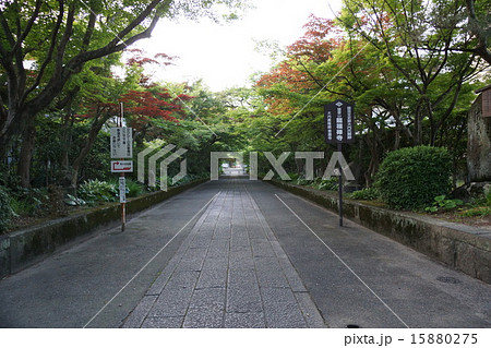 国指定史跡の大内氏館跡にある龍福寺参道 国指定史跡の大内氏館跡にある龍福寺参道 15880275