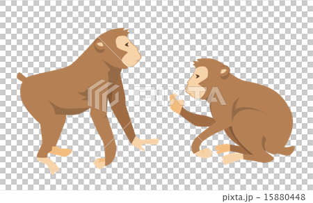 猿 猿 15880448