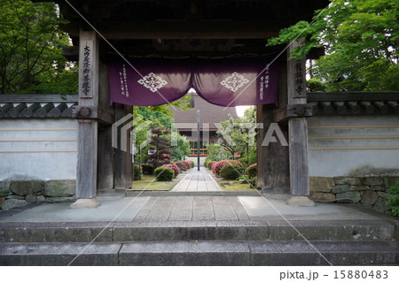 龍福寺山門から龍福寺本堂へ 龍福寺山門から龍福寺本堂へ 15880483