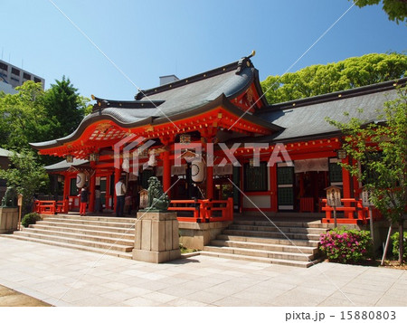 神戸　生田神社 15880803