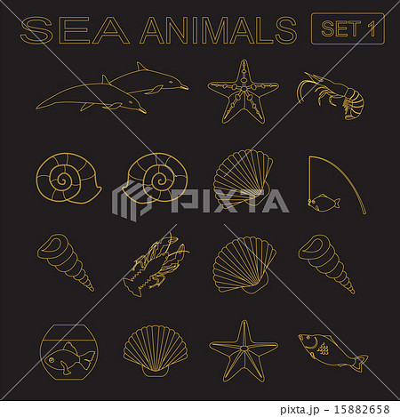 Sea animals icon Sea animals icon 15882658