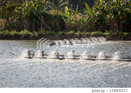 Aerators working at an inland fish farm 15883057