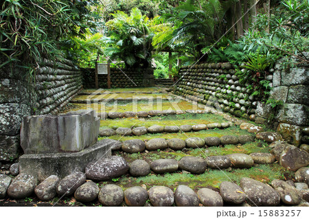 八丈島八丈町ふるさと村の石垣 15883257