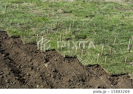 公園土手の芝張り工事 公園土手の芝張り工事 15883269