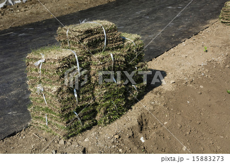 公園土手の芝張り工事 公園土手の芝張り工事 15883273