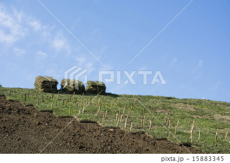 公園土手の芝張り工事 15883345
