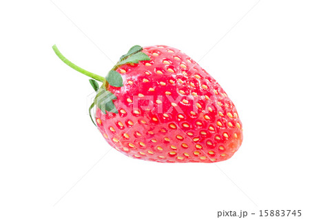 strafbery strafbery 15883745
