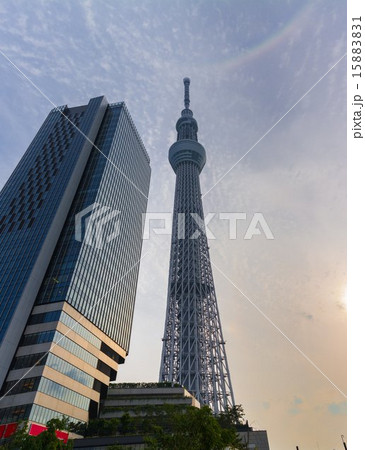 東京スカイツリー 東京スカイツリー 15883831