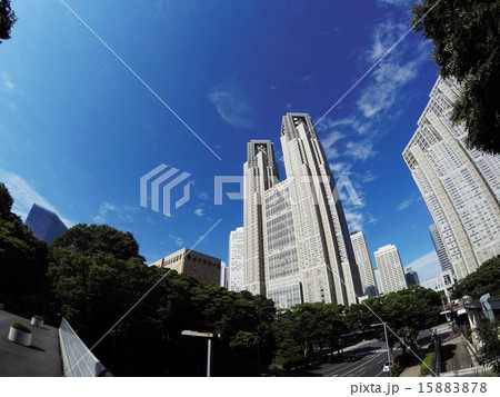 東京都庁 東京都庁 15883878