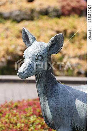 天王寺公園 15884204