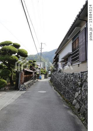 余野川　山村　 15884314