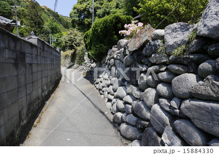 余野川　山村　 15884330
