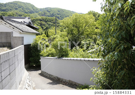 余野川 山村 余野川 山村 15884331