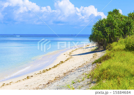 Beautiful sea and coastline 15884684