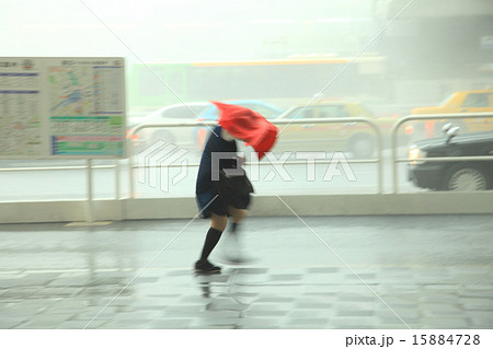 嵐の中を進む 15884728