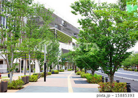 柏の葉街角風景 柏の葉街角風景 15885393