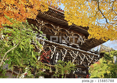 善峯寺 秋 15885788