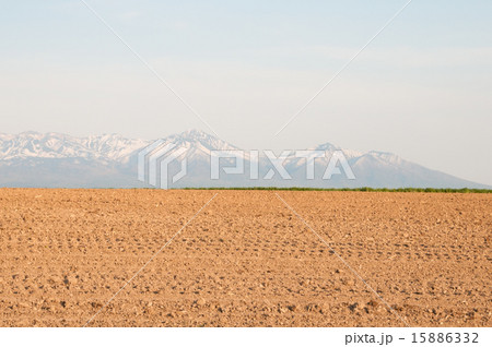 春の畑と残雪の山並み 15886332