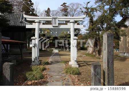 加須市久下の鷲宮神社 15886596