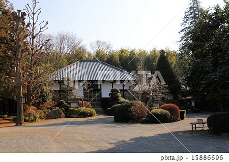 さいたま市見沼区片柳の万年寺 15886696